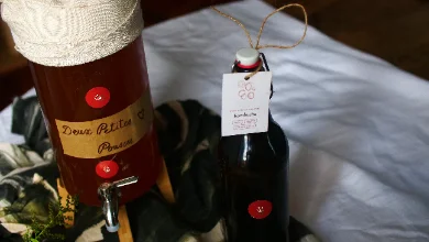 Un fût à kombucha en bois, coiffé d'un linge écru et portant une étiquette manuscrite « Deux Petites Pousses », son robinet métallique en façade. À côté, une bouteille en verre sombre à bouchon mécanique, une petite étiquette « kombucha » nouée à la ficelle, sur un drap blanc et des feuillages sombres.