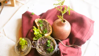 Une tartinade sombre de tartare d'algues garnie de feuilles de salade frisée, à côté d'un bocal rempli de la même préparation. Le tout est dressé sur un linge bordeaux, près d'un vase en terre cuite portant une tige verte.